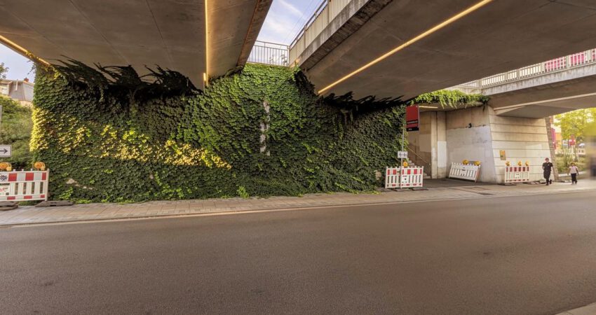 Hitzeschutz, Biodiversität